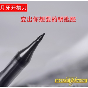 RAISERZ-YUEYA Slot Knife 2-Tungsten Steel-φ0.8x15°xD6x40x2F Small Specification